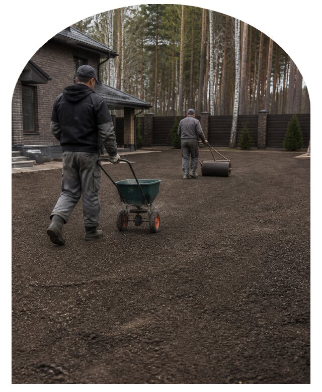 Устройство посевного газона на вашем участке в Ачинске