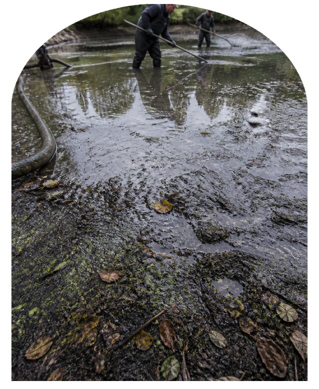 Очистка пруда в Ачинске от ила мусора и водорослей с вывозом